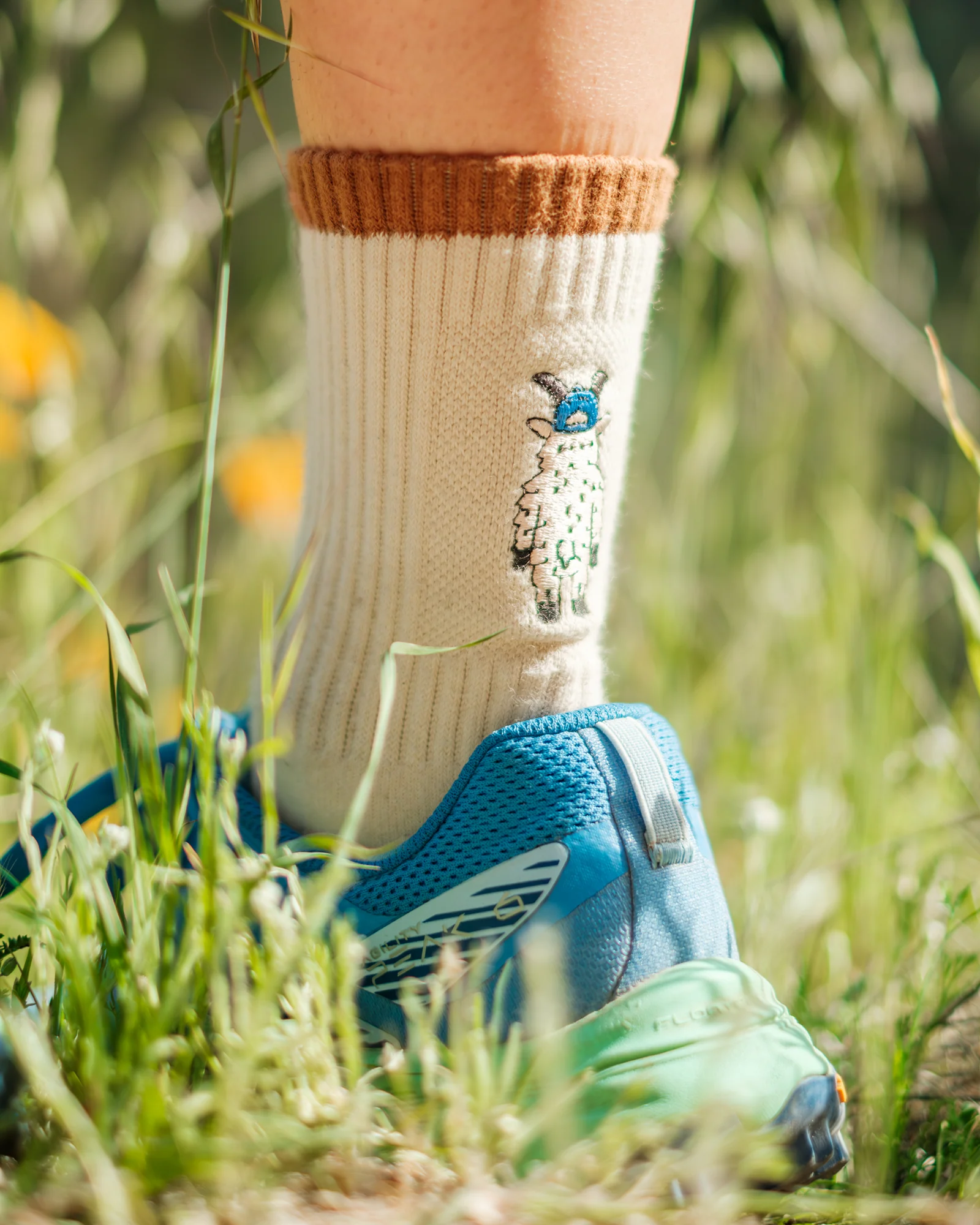 Adventure with Friends Trail Crew Sock 2 Pack - Image 3
