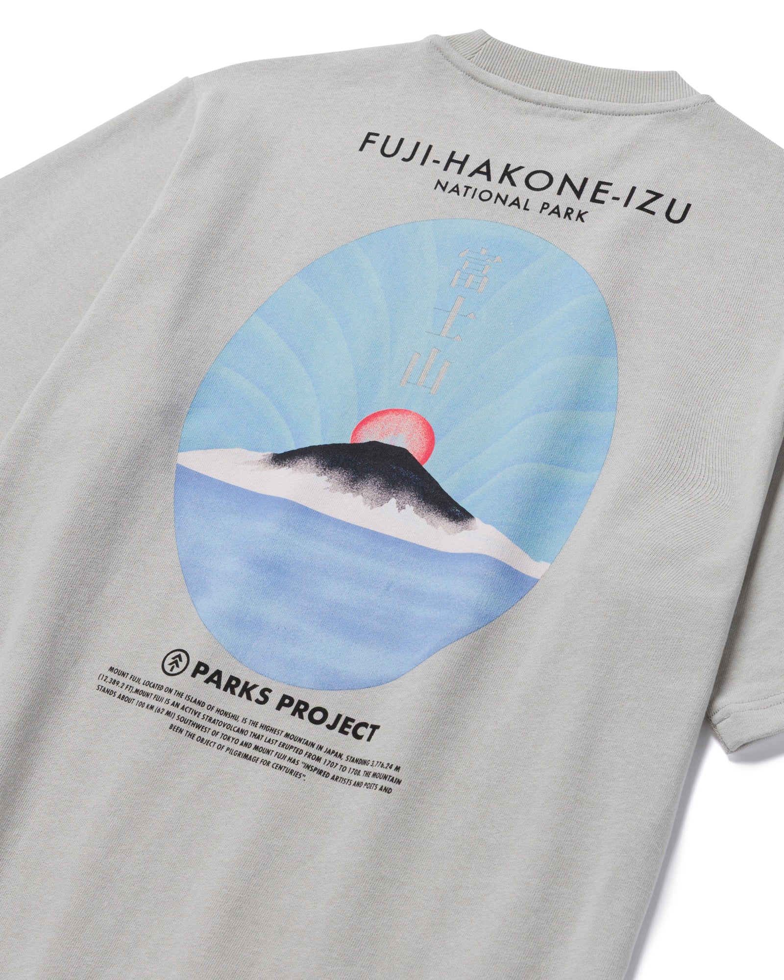 Fuji-Hakone-Izu National Park Tee - Image 5