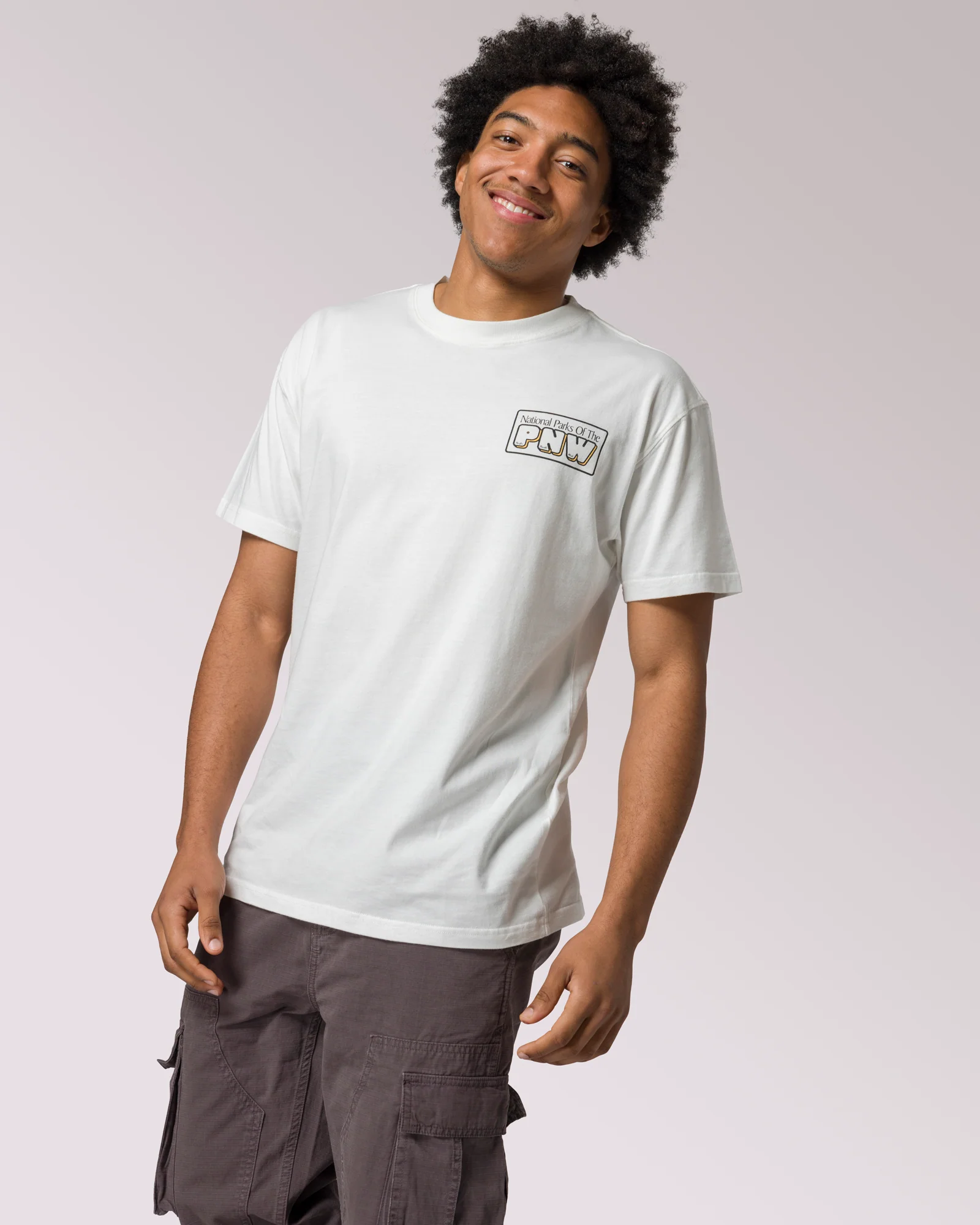 Pacific Northwest Parks Tee - Image 7