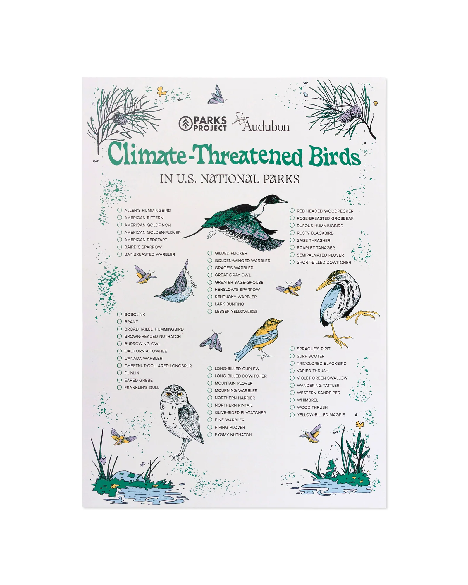 Parks Project x Audubon Bird Checklist Poster - Image 2