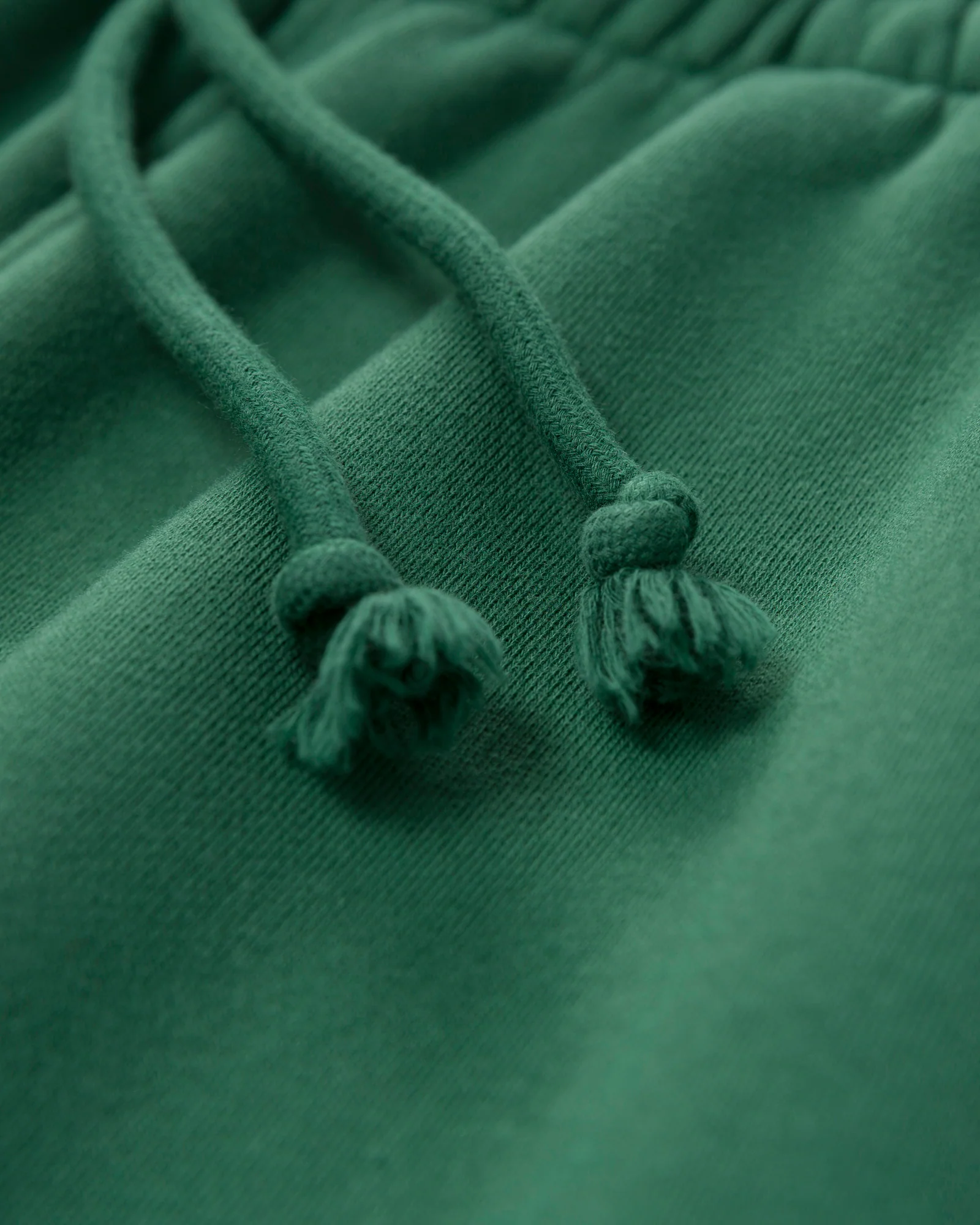 Parks Project x Audubon Sweatpant - Image 8