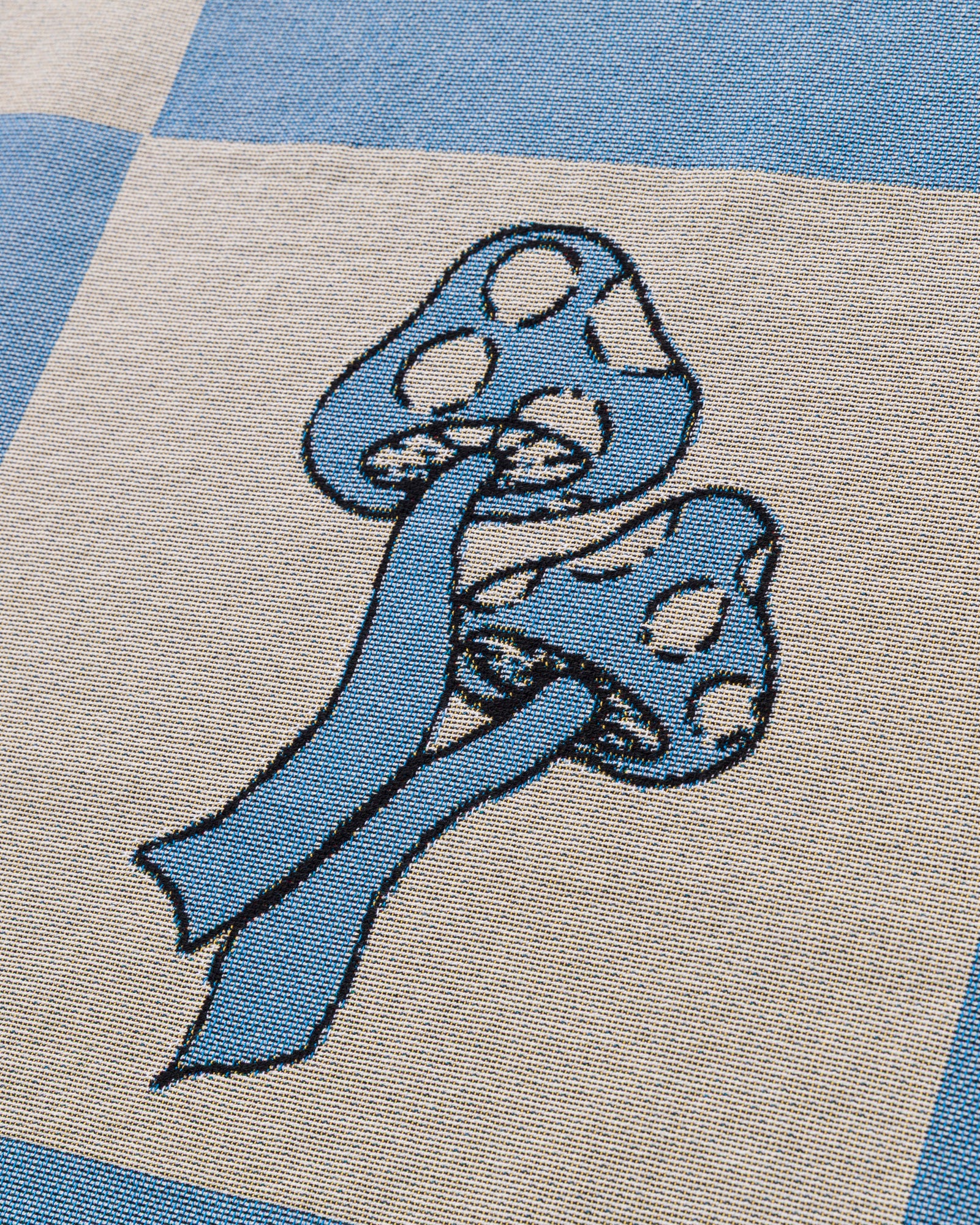 Power To The Parks Woven Blanket - Image 4