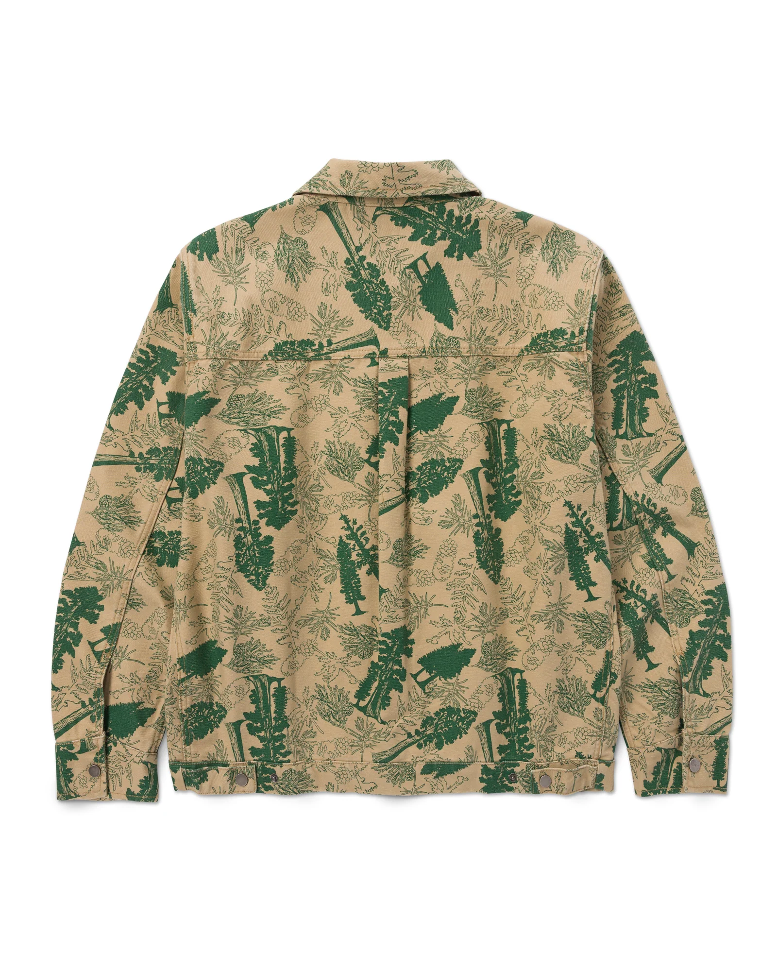 Sequoia Seedlings Canvas Jacket - Image 10